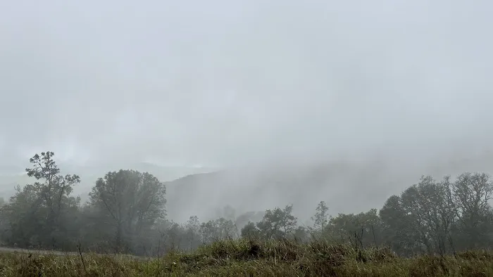 Wildcat Group Campground 10